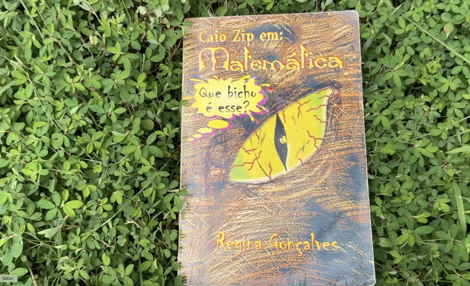 Caio Zip em: Matemática — Que bicho é esse? By Regina Gonçalves. Rio de Janeiro, 2001. Cover illustration by Vanessa Rosa.