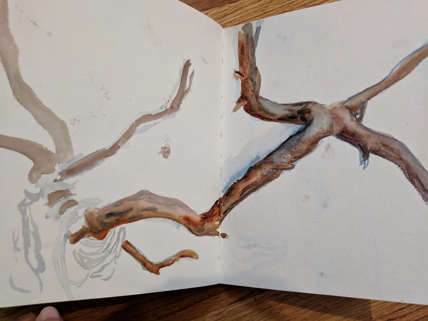 Sketchbook, Thailand, 2018