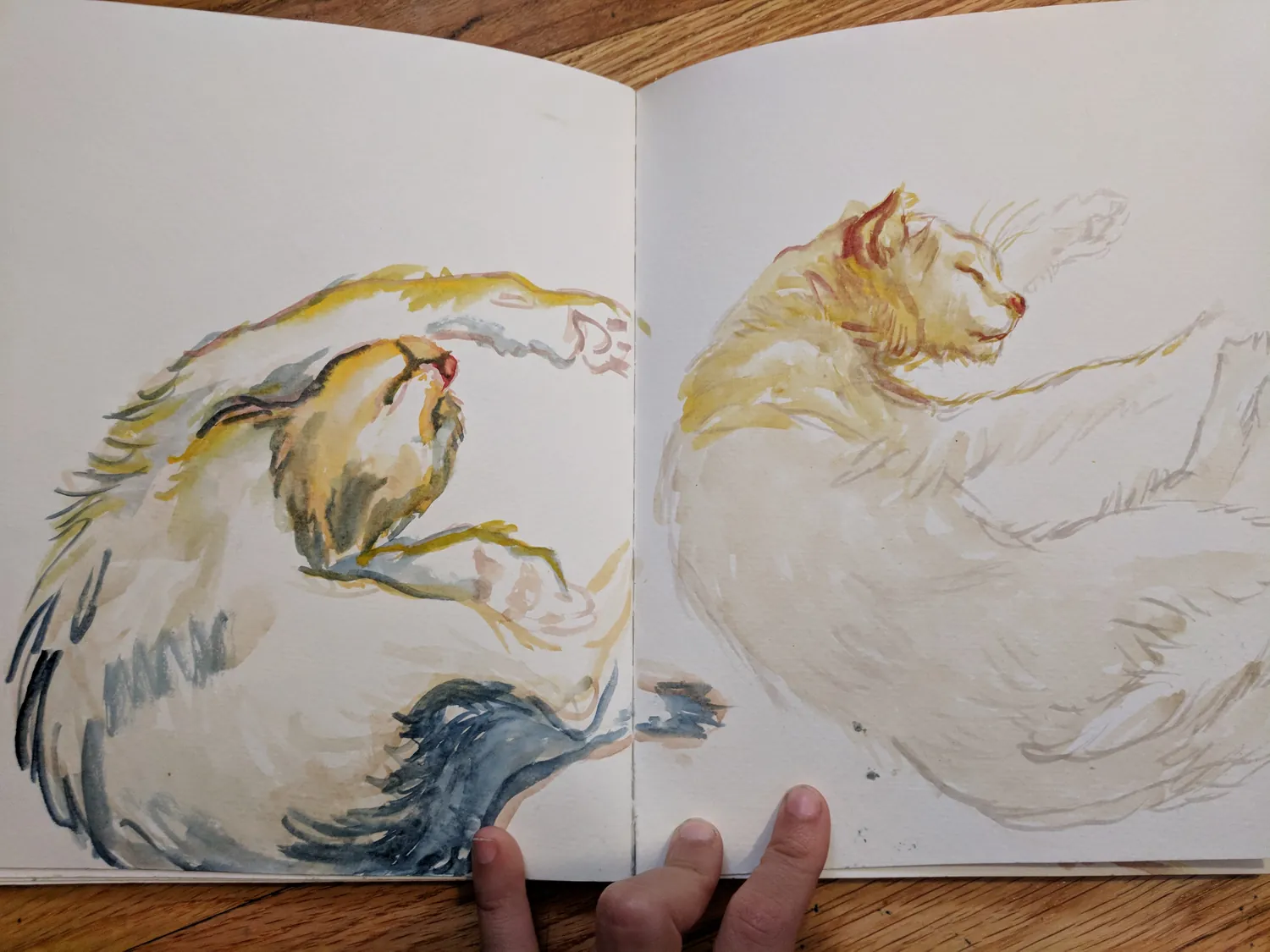 Sketchbook, Thailand, 2018