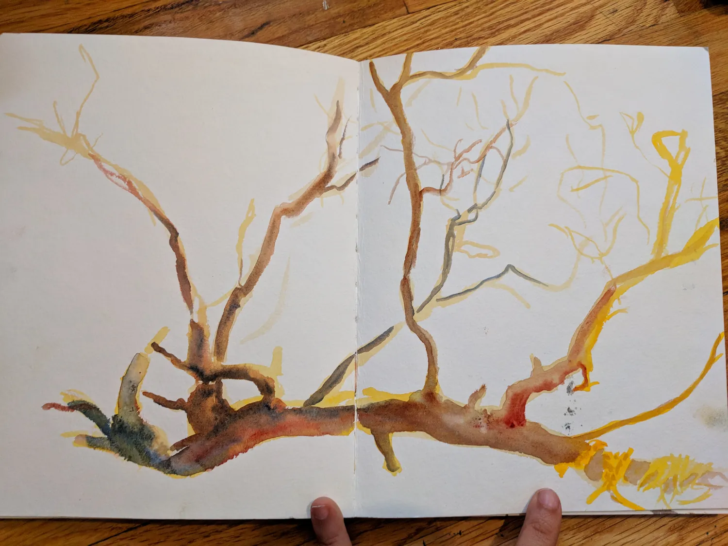 Sketchbook, Thailand, 2018