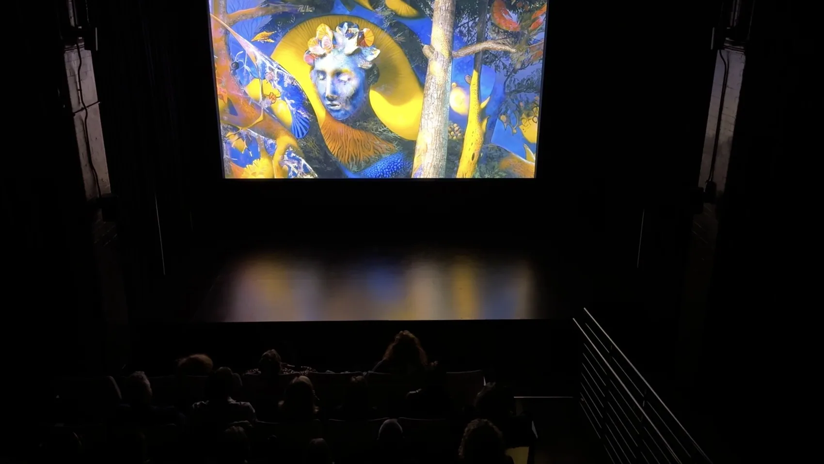 A screening room.
