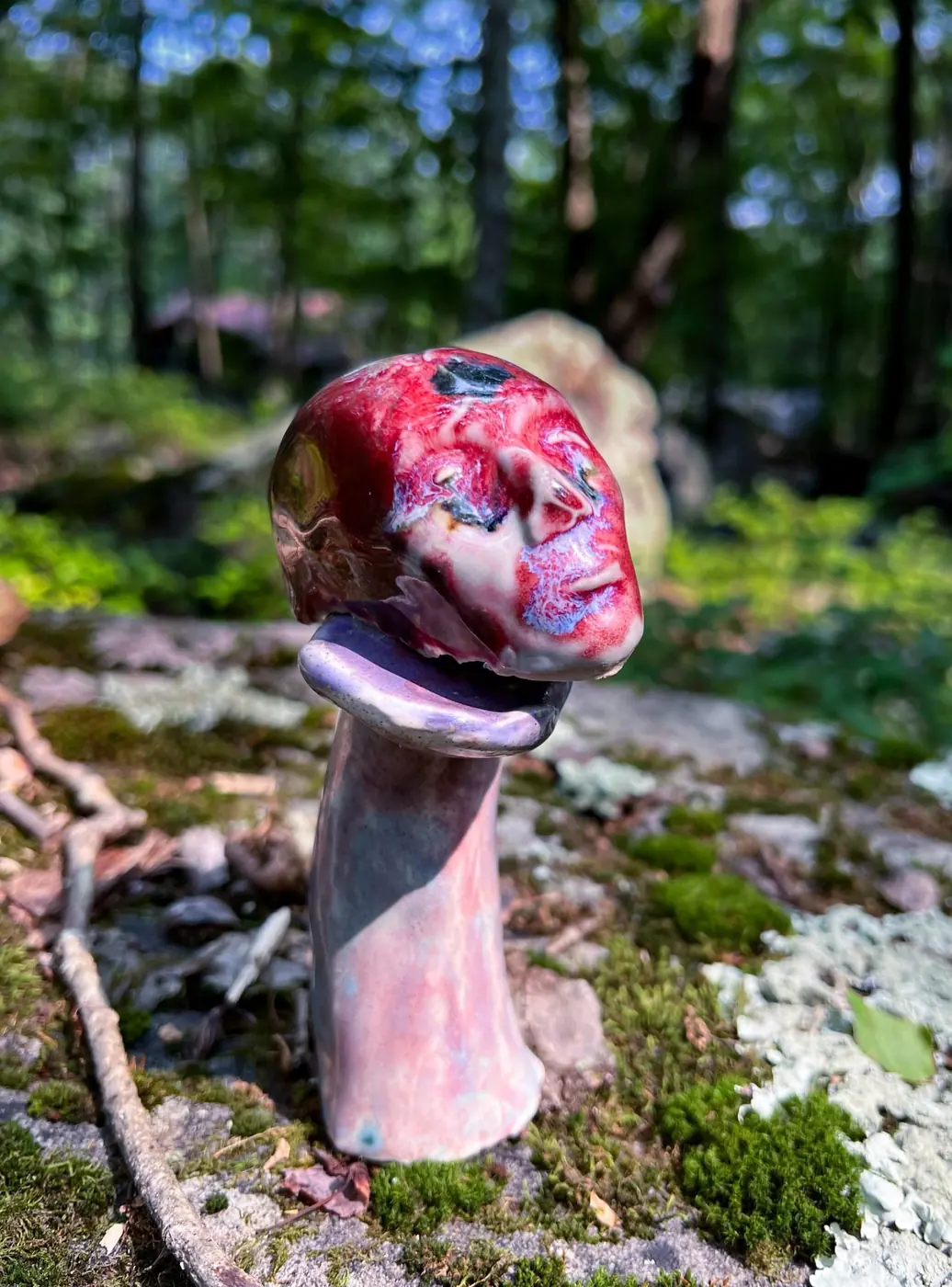Out in the woods