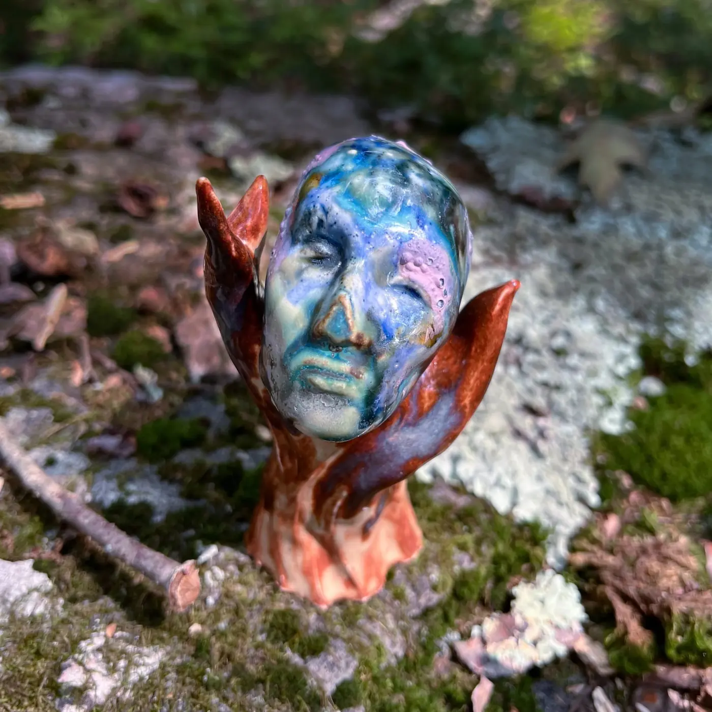 Ears open, on the rock