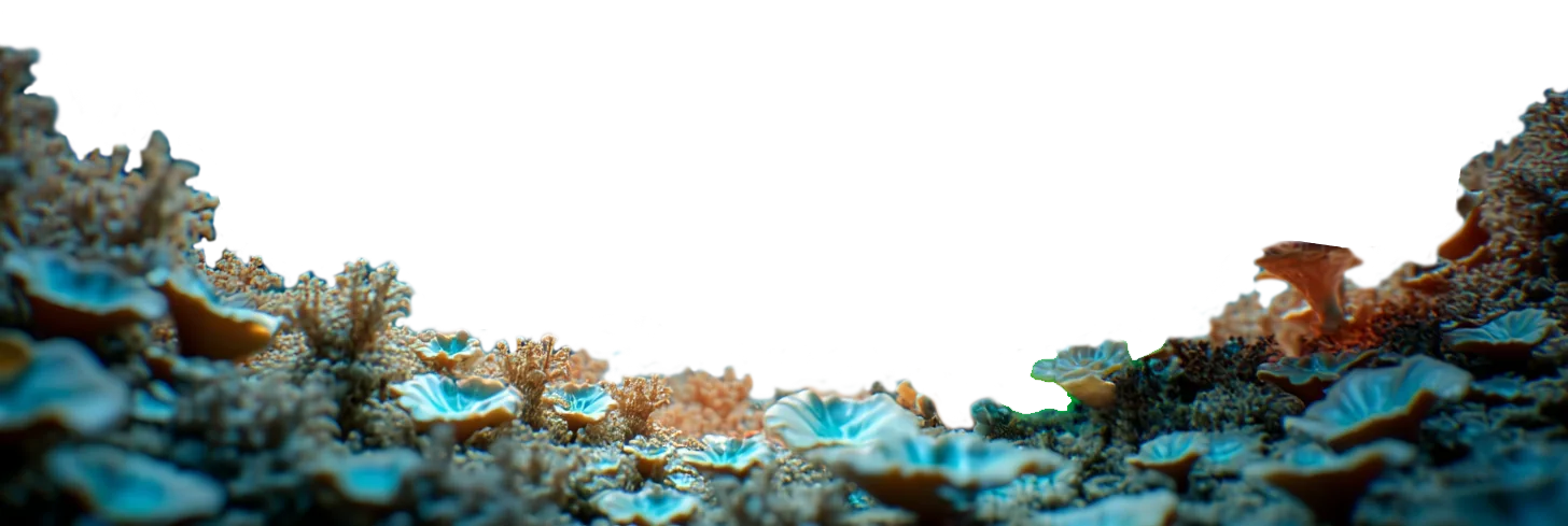 Verdelis and Mycos underwater, from the duet.