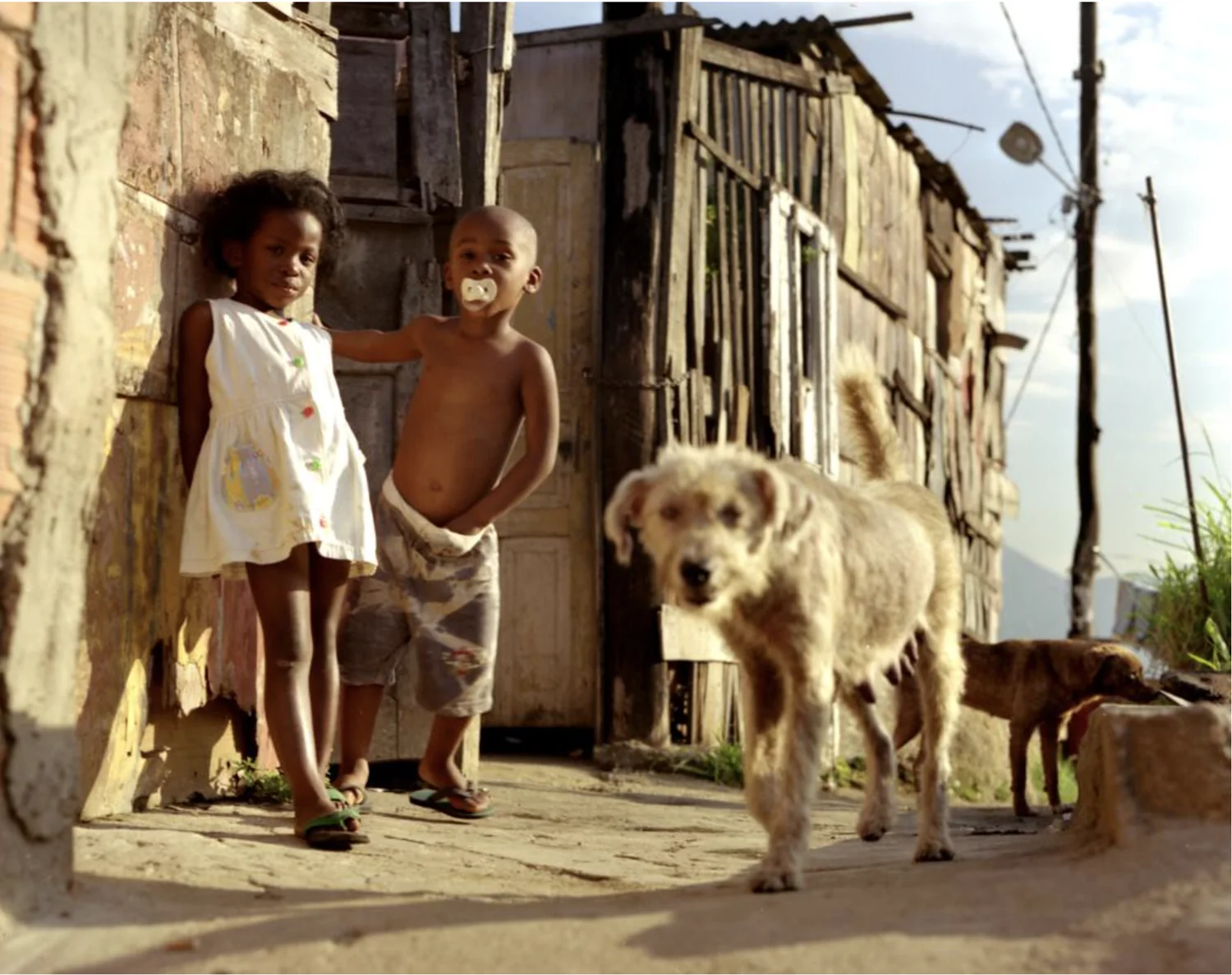 Photograph by Maurício Hora