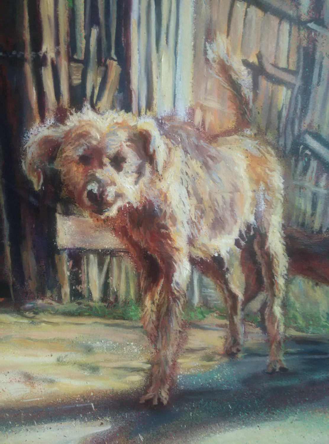 The dog