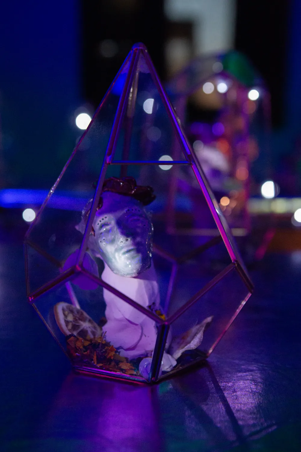 A head inside its glass
