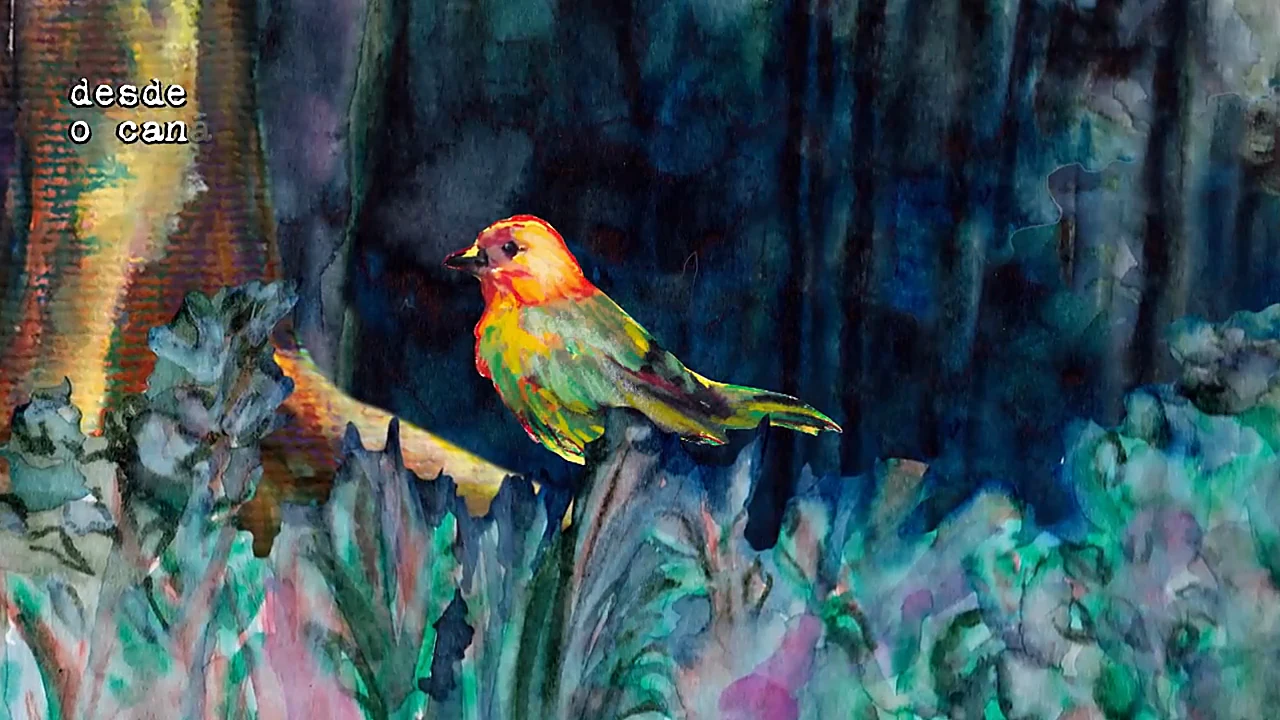 Episode 5, Poema Sujo 2, 19:00. The bird in the undergrowth.