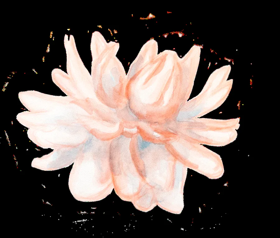 The Act4Amazon Instagram filter.