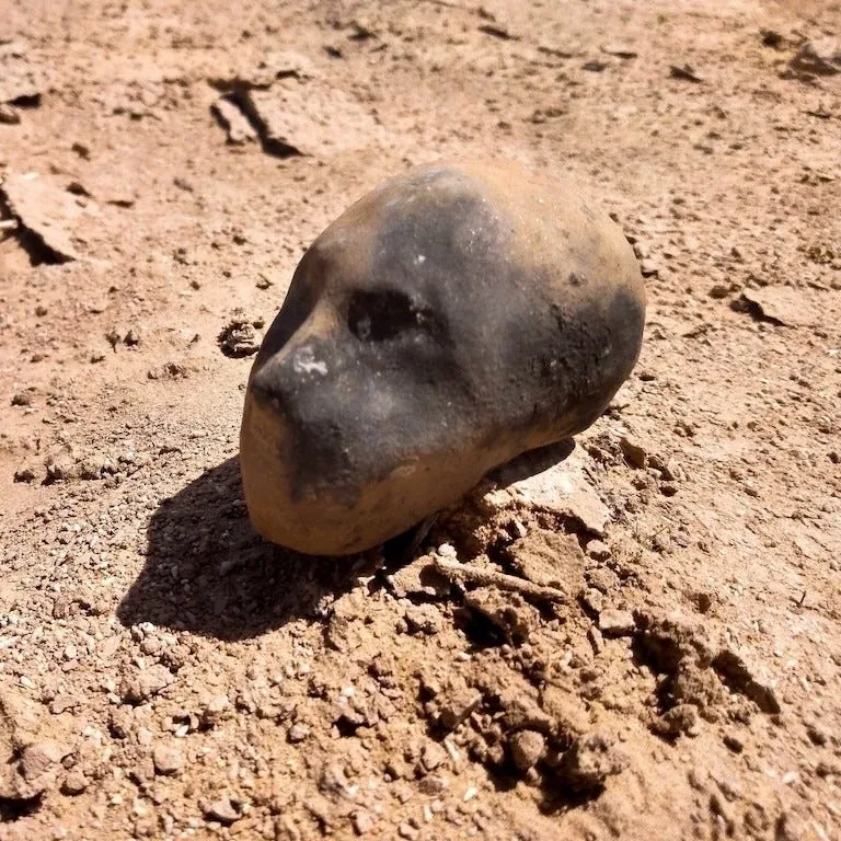 Raw desert clay, sculpted